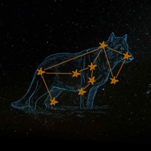 lupus the wolf constellation