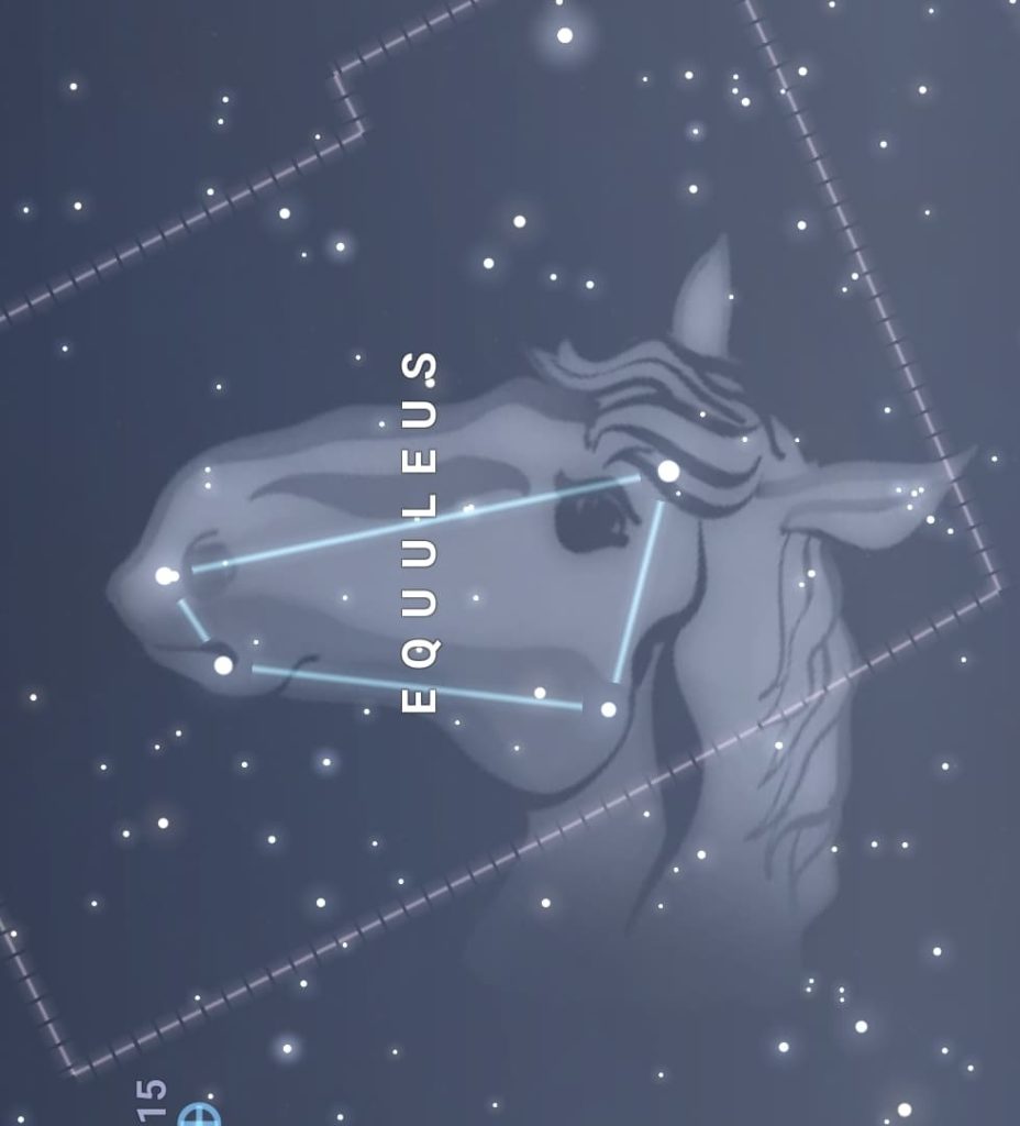 Equuleus constellation