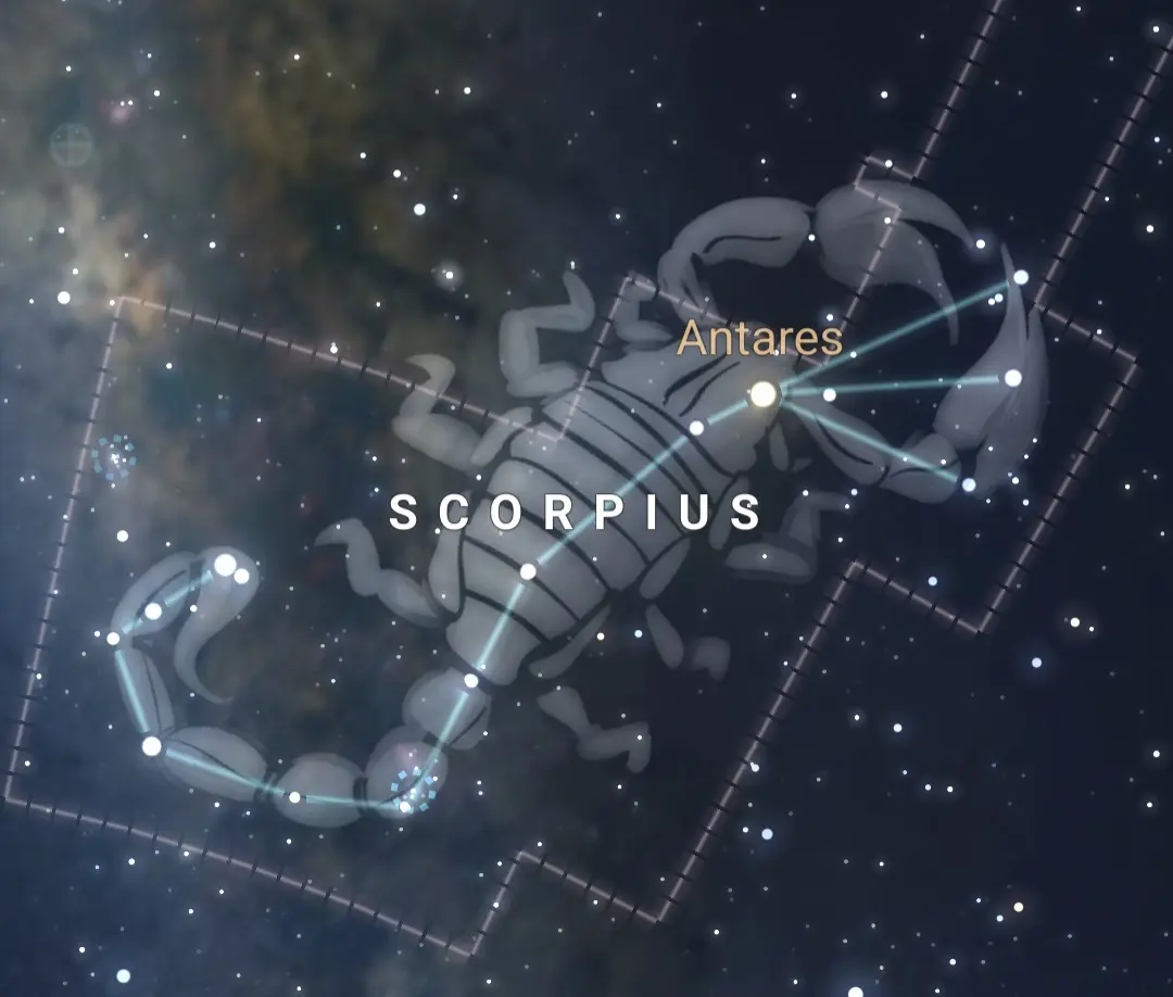 scorpus constellation