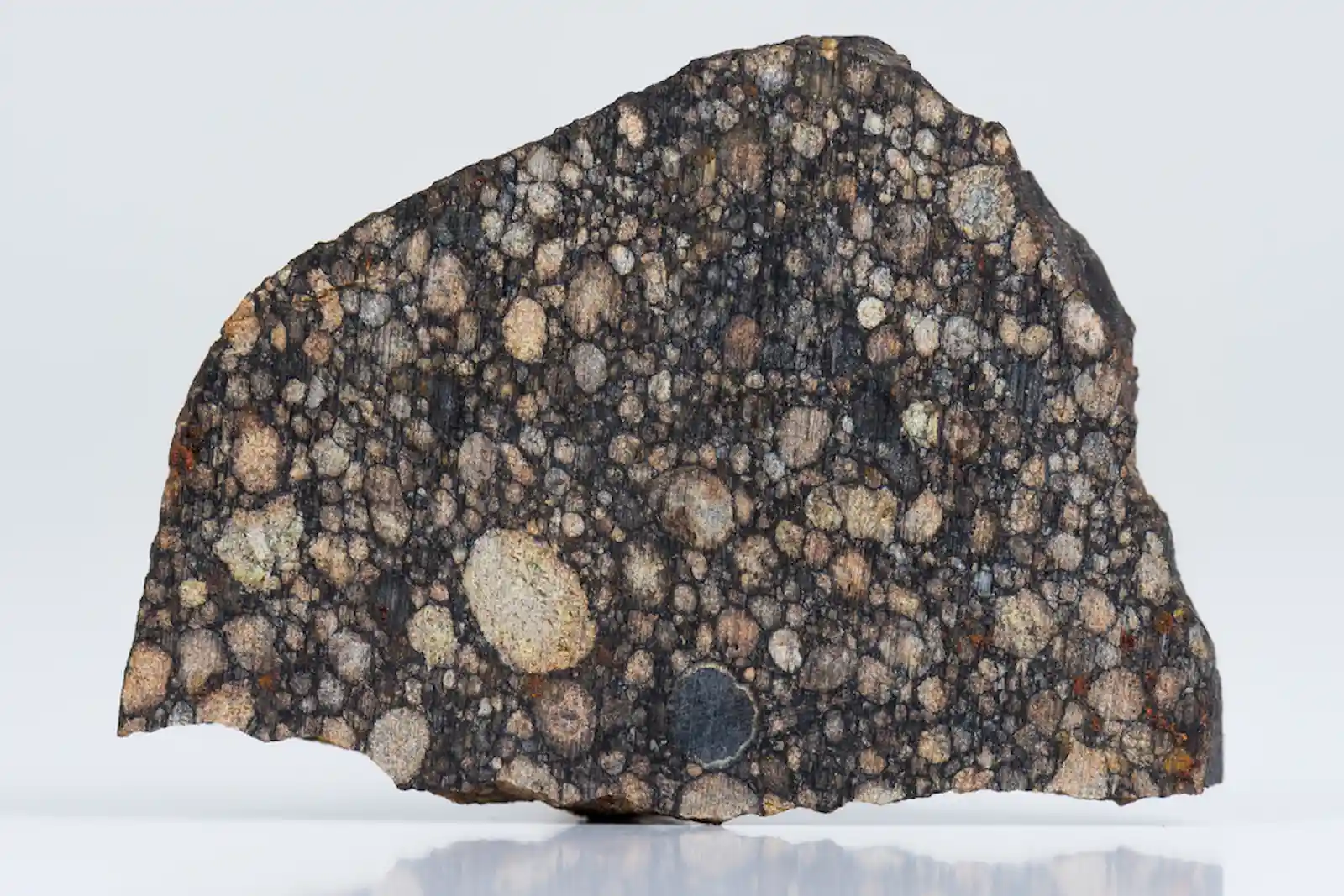 chondrule on chondrite meteorite