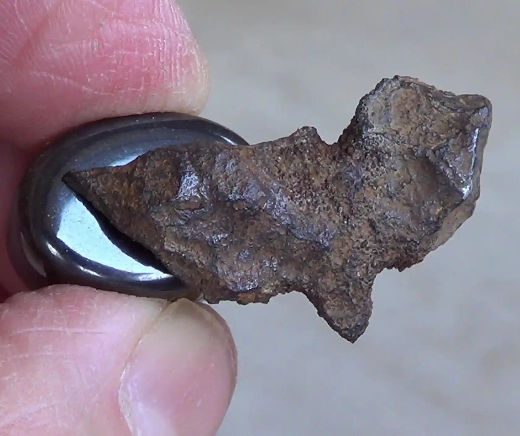 magnet sticking to meteorite