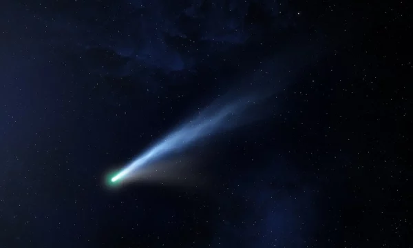 long tailed comet