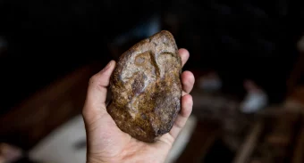meteorite held in hand